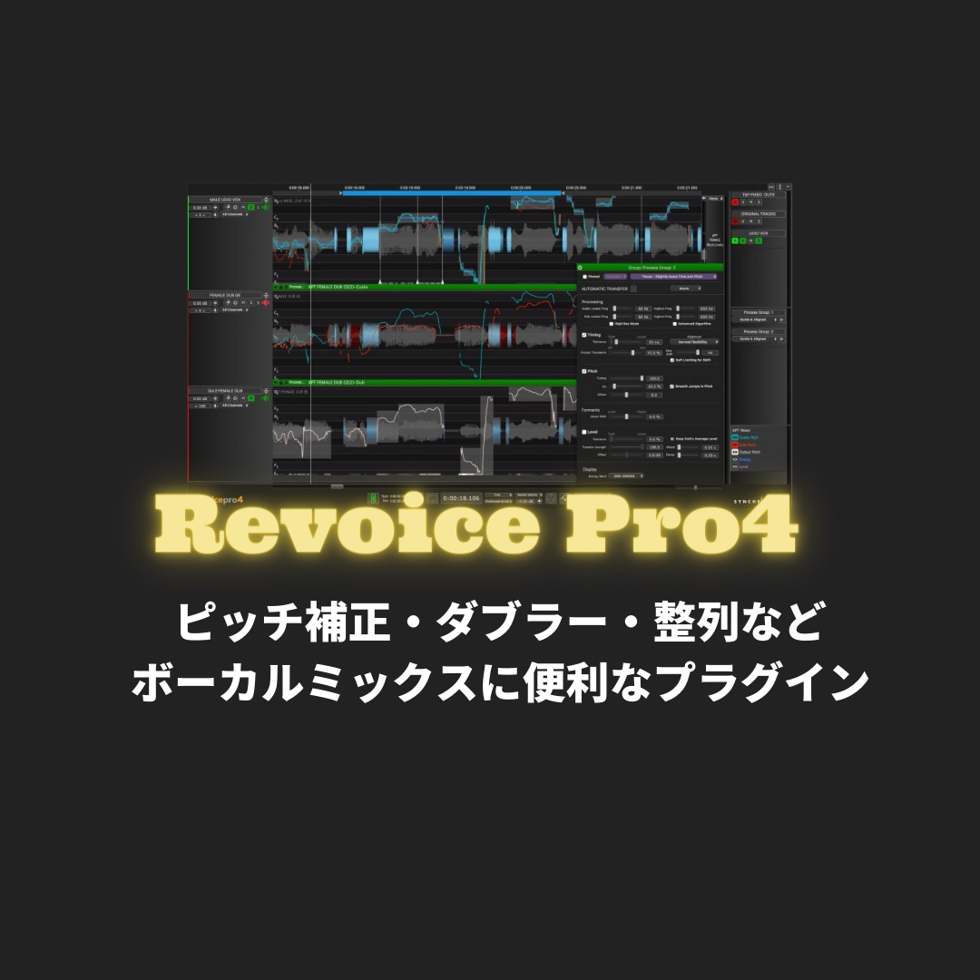 Revoice Pro 4