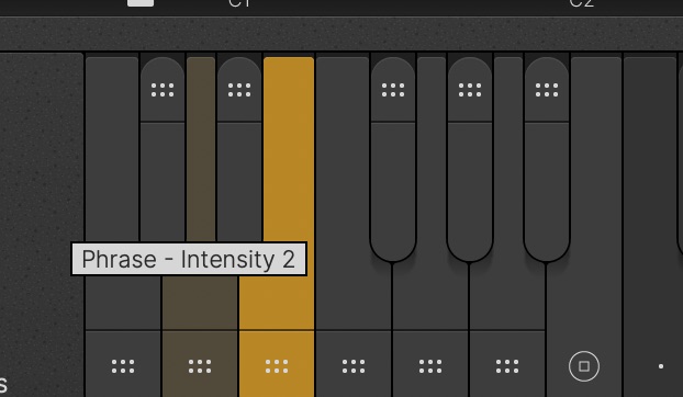 ujam VOGUE intensity phrase