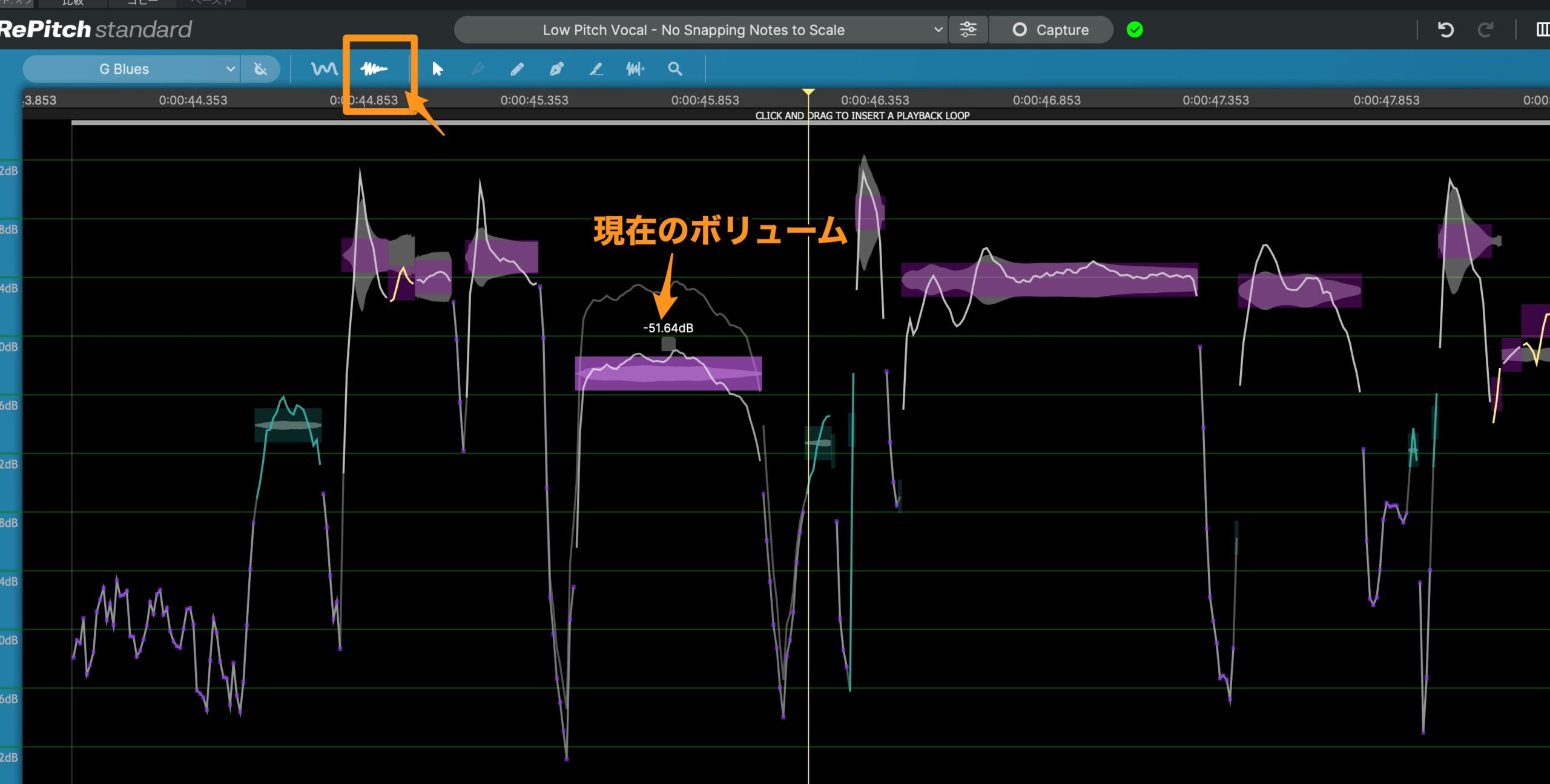 RePitchのレベルディスプレイ