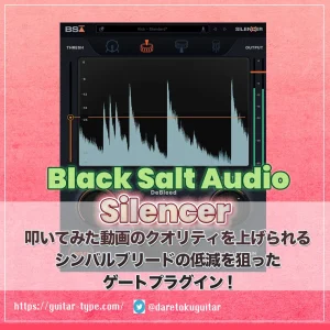 Black Salt Audio Silencer1