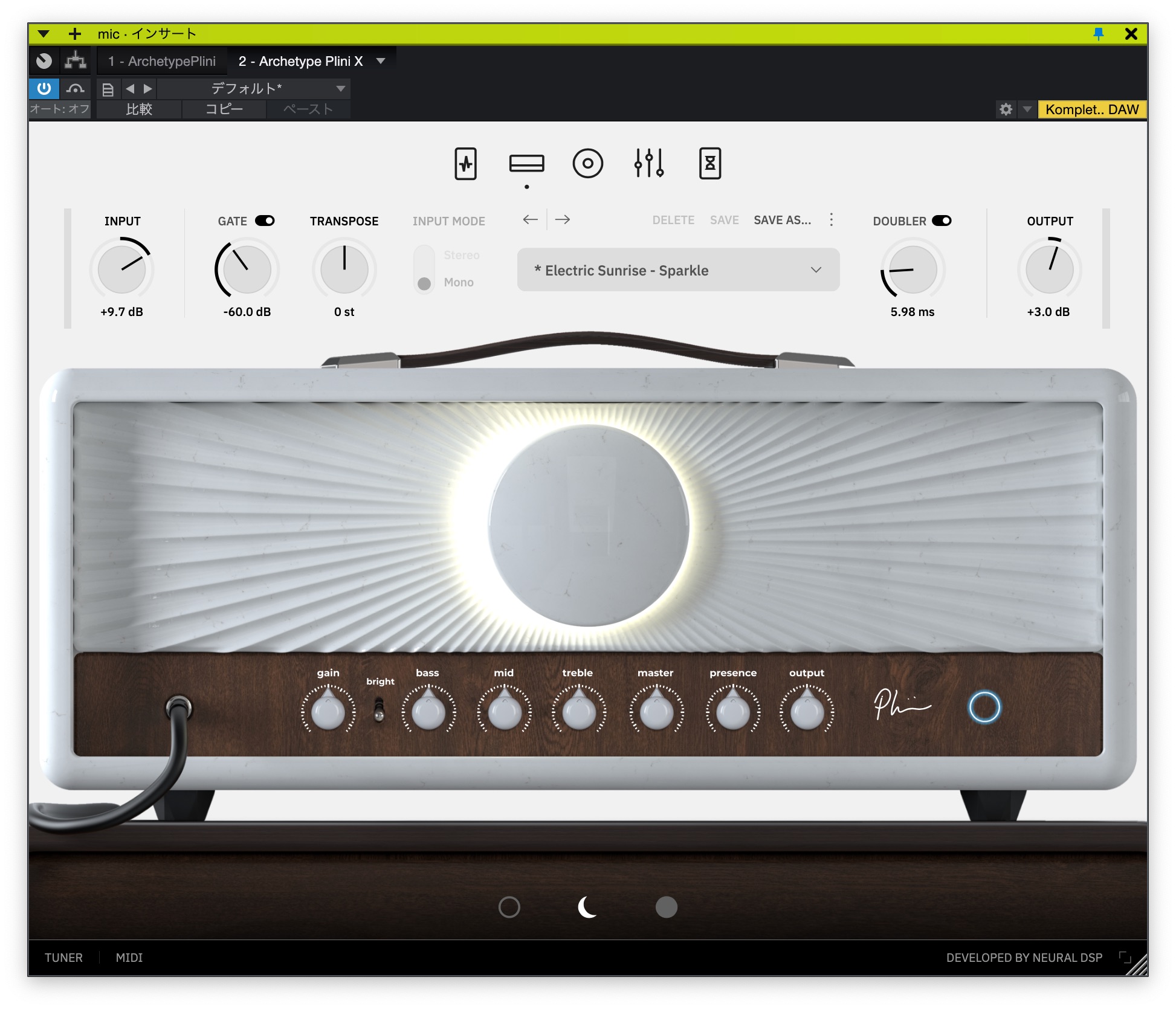 Neural DSP Archetype Plini X